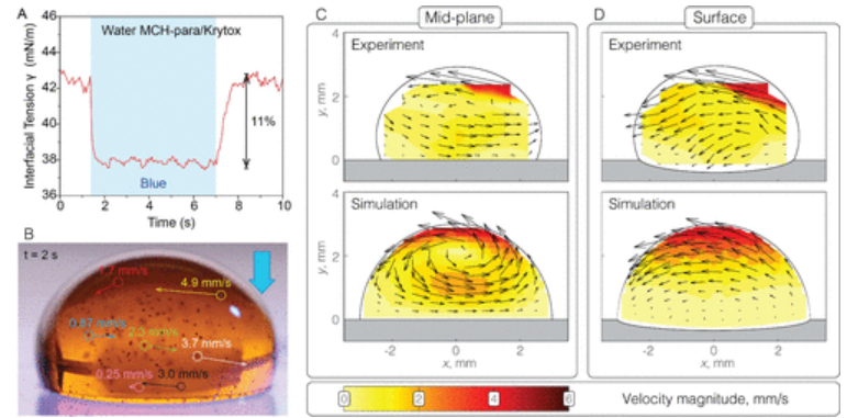 Publication figure 110