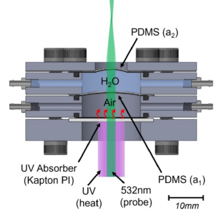 Publication figure 113