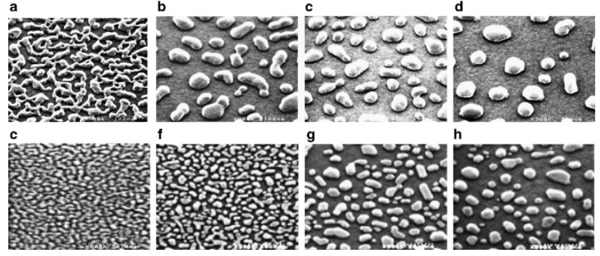 Publication figure 15