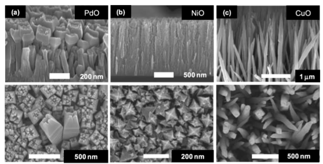 Publication figure 24