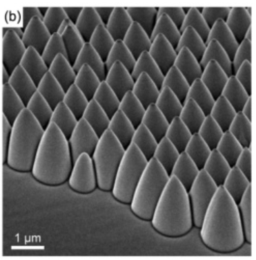 Publication figure 49