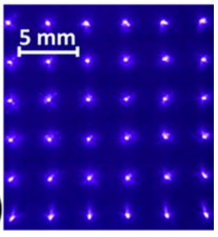 Publication figure 88