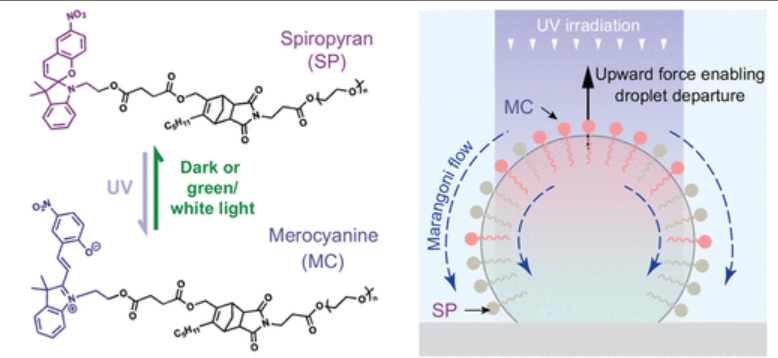 Publication figure 89