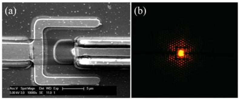Publication figure 93